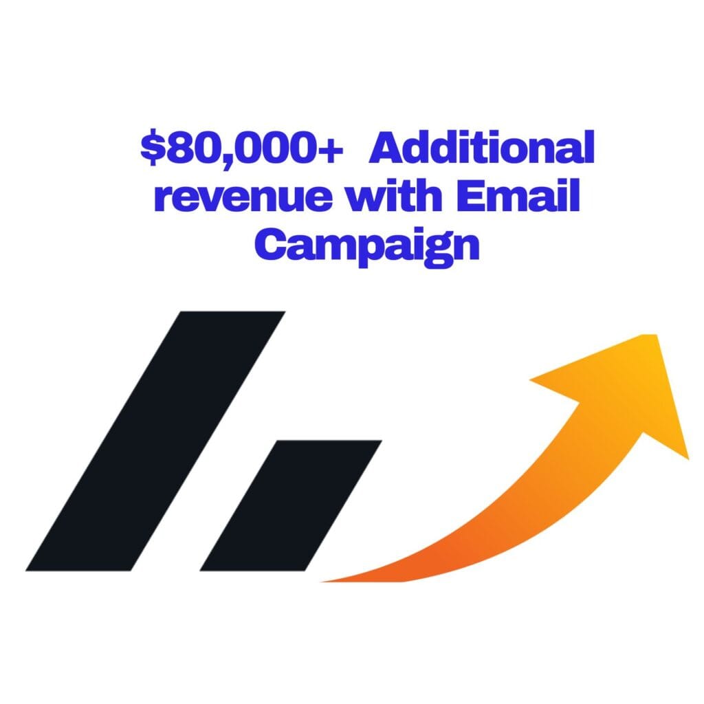 email-campaign-case